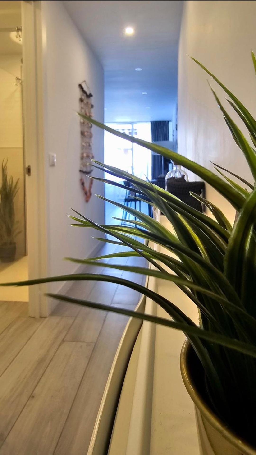 524 Ocean Dreams Americas Appartement