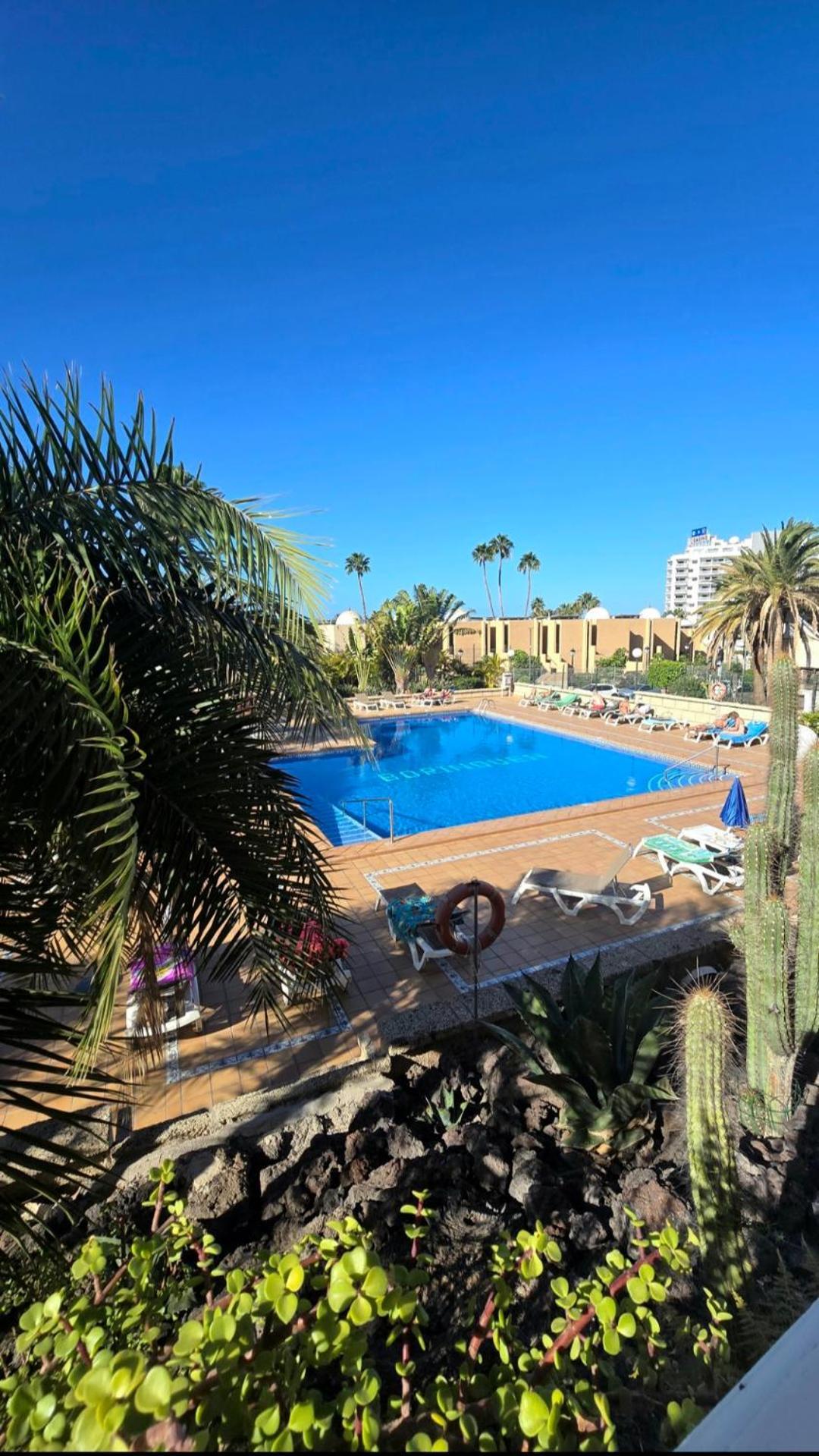 524 Ocean Dreams Americas Appartement *